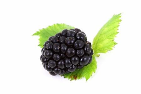 brombeere